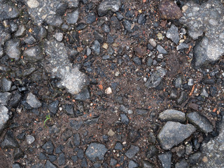 Cracked tarmac 02