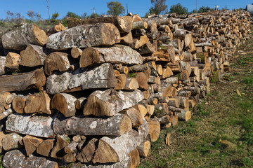 Winter storage  pile of wooden logs lie on grass in a garden 