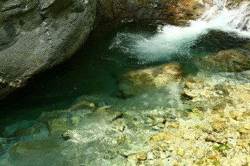 Fototapeta premium 西丹沢西沢 沢登り 渓流釣り