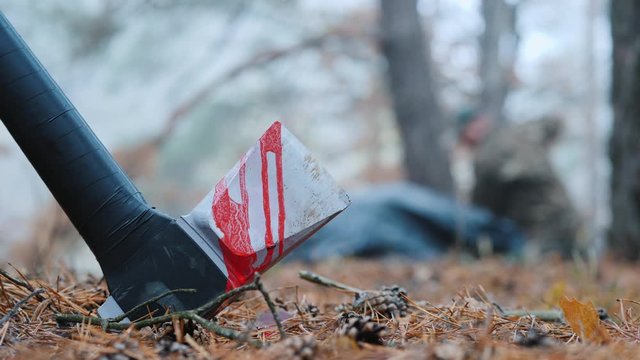 Bloody ax in the forest, in the background the criminal bury his victim