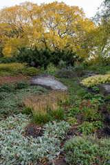 Fall foliage color of Fort Tryon Park in Fort George Manhattan