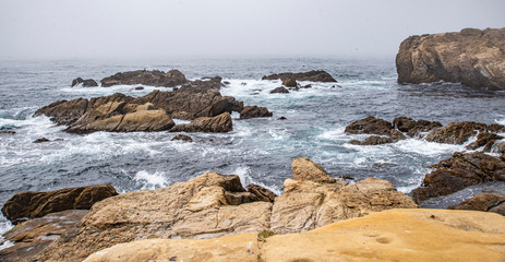 Monterey Peninsula #1