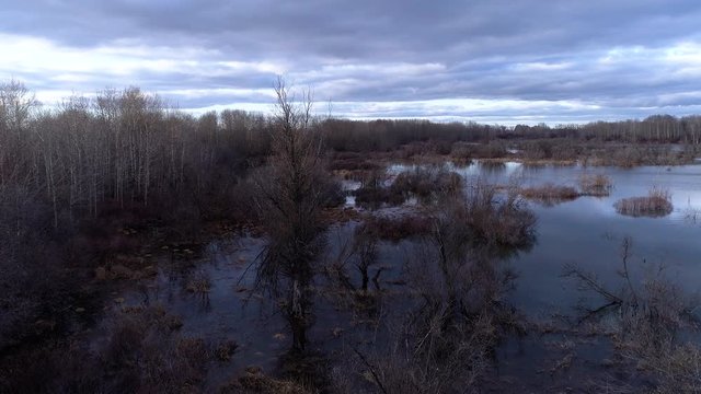 aerial view of the flooded floodplain