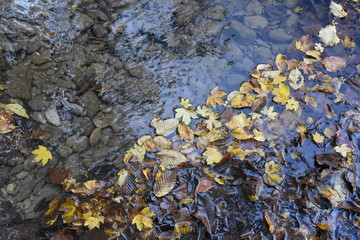 crescita della natura