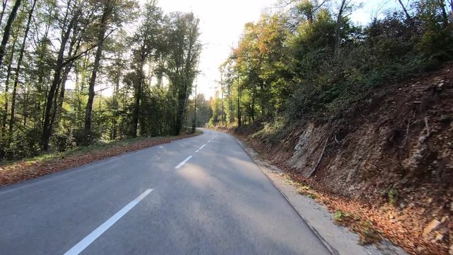 4K LD Point of  view of a car driving on a asphalt road near forest in autumn