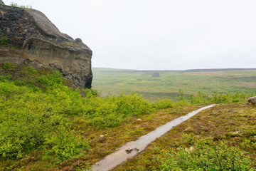 Fototapeta na wymiar Jokulsargljufur National Park on a raining day, Iceland