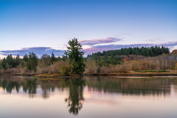 Puget Sound Autumn Colors Still Water