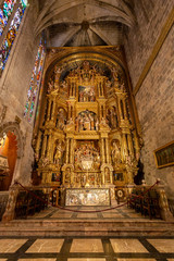 Fototapeta na wymiar Palma Cathedral