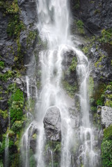 Fototapeta premium Waterfalls in Milford Sounds, New Zealand