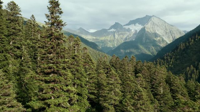 Aerial drone view; Mount Tsakhvoa, autumn forest on steep slopes, curved river valley; crones of pine fir trees, warm sunset light; dramatic clouds on snowy peak; natural travel background; dolly zoom
