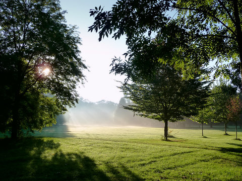 Public park in early morning sunlight. Sun's rays shining through the trees in the park. Prater park in Vienna in September.