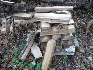 Fototapeta na wymiar pile of firewood