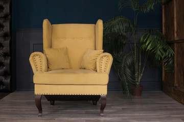 Soft ocher armchair on wooden legs. Sienna chair in an office next to flower. Soft armchair in cabinet with navy blue walls