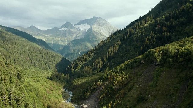 Mountain terrain landscape, deep pine fir forest and highest mountain Tzahvoa with glacier and rocky peak; aerial view, drone flying between trees close to crones; overcast sky, Caucasus national park