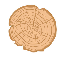 Tree in cut on white. Wood cross section. Print for design. Colorful illustration for work