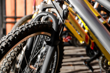 Many modern bicycles parked outdoors, closeup