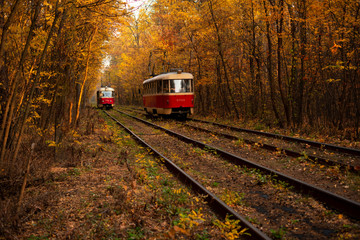 Fototapeta na wymiar Two trams and tram rails among the autumn forest.