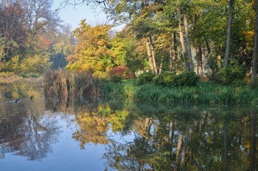 Beautiful autumn colorful landscape. Charming islet with colorful trees in the park by the pond.