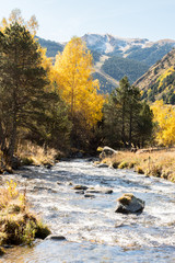 Autumn in the Incles Valley, Andorra. Vall d´Incles, Andorra
