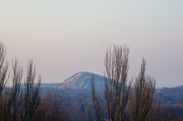 Winter urban frosty landscape - snow covered trees on foggy background