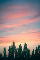 Landscape with dramatic light - beautiful golden sunset with saturated sky and clouds.