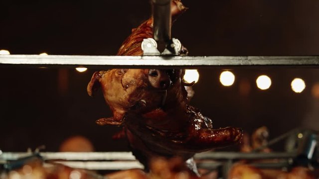 Golden whole roasted pig on a spit at romanian food festival night