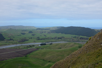 Countryside, Hawke's Bay, New Zealand