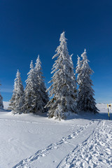 Winter view of Vitosha Mountain, Bulgaria