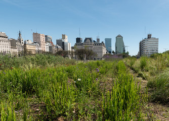 Grass, oxigen and buildings