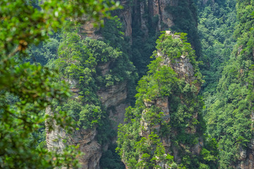 Vertical karst pillar in Zhangjiajie National Park