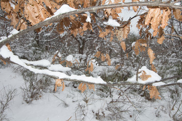Lago di Campotosto (ABRUZZO)