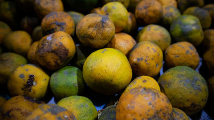 Citrus fruits are yellow orange with a sweet taste. Original products from local Indonesian farmers with a pretty good business value