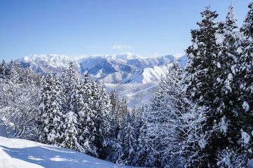 Fototapeta premium 冬の国道17号線、青と白の雪景色