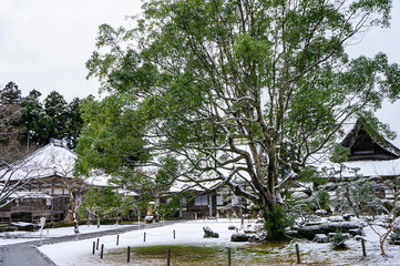 美しい境内に雪が舞い降りた妙宣寺