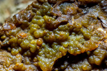 Spherulite peel of chalcedony on flint stone