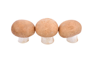 Fototapeta premium uncooked fresh champignon on white background