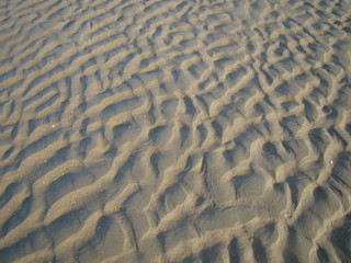Fototapeta na wymiar sand on the beach dunes rippled