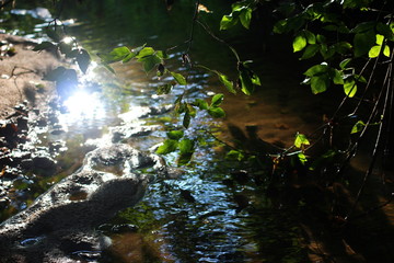Beautiful view of a shallow creek, glare and reflection from sunlight