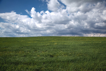 green field and blue sky