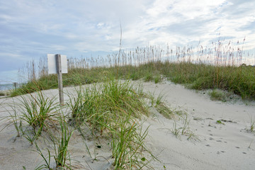 Sand dunes at the beach of Tybee Island in Georgia, USA