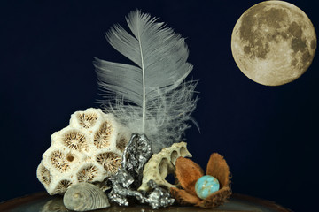 Stillleben+Mond