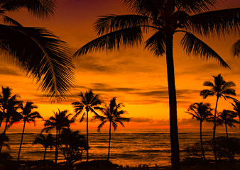 Naklejka na ściany i meble Vibrant Hawaiin Sunrise