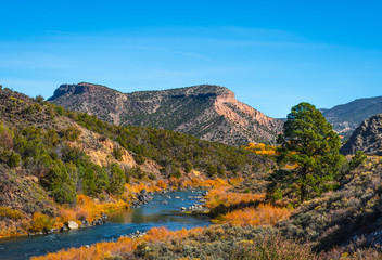 Beautiful autumn colors on Rio Grande river flowing through New Mexico	 - 299000075