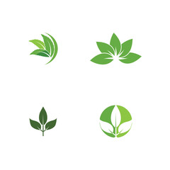 Leaf Logo Template vector symbol