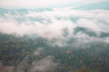 Landscape of the mountain with fog over the forest at Thailand. The fog that covered the forest in the mountains in the morning.