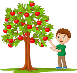 Cartoon boy picking apples from apple tree