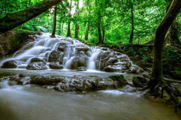 The natural background of the water flowing through rocks, natural waterfalls, blur of flowing water surrounded by various plants, the integrity of the ecosystem.