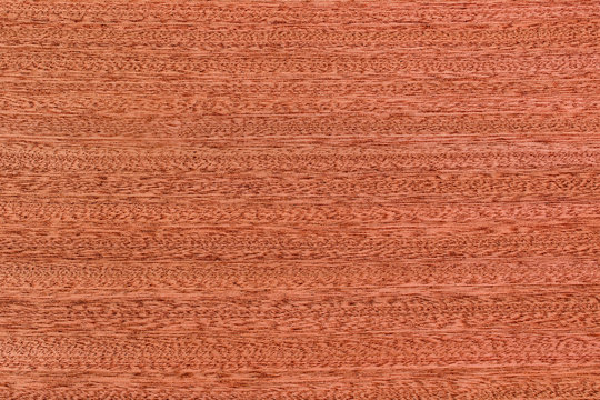 Mahogany wood texture background. Close-up mahogany texture.