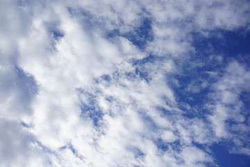 Obraz premium blue sky with white clouds