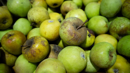 Green apple, Original products from local Indonesian farmers with a pretty good business value